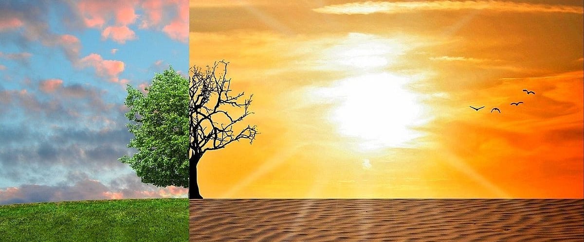 Image illustrating a damaged and a healthy environment in contrast.